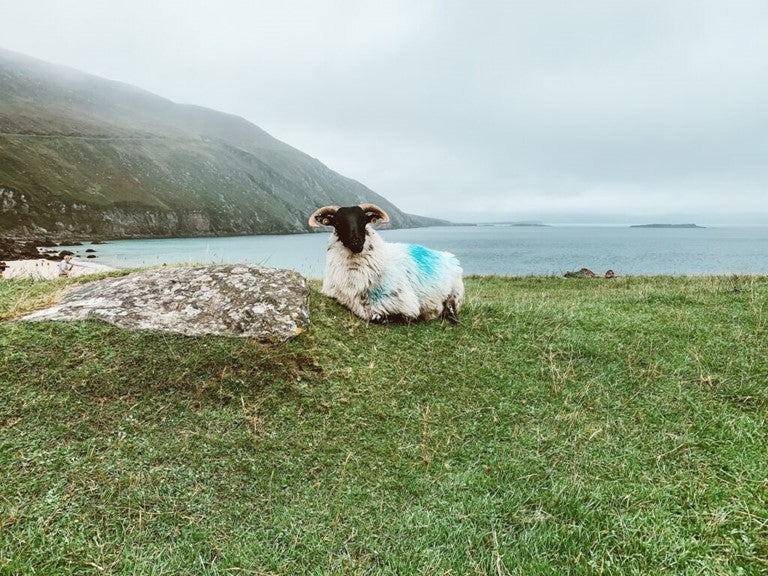 Camping in Achill Island